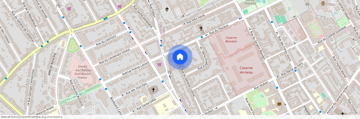 9 RUE GENERAL CUSTINE, Vauban Nord Placieux Parc Sainte-Marie, Nancy