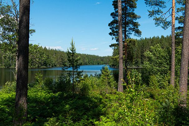 Gråstensgatan 6 - Photo 1