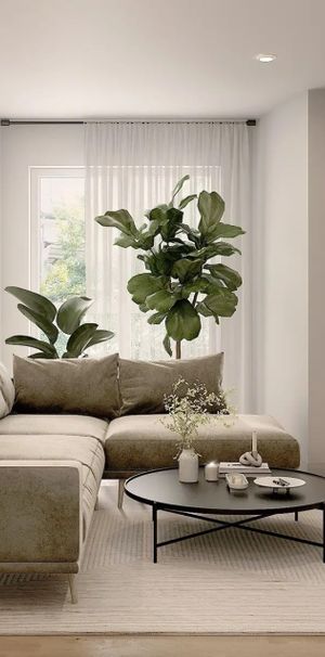 4 1/2 De Luxe Tout Inclus à Limoilou - Photo 1