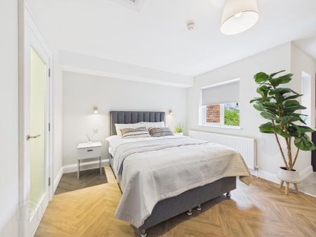 Room 3 The Ashley Collection, Ashley Avenue, Belfast, BT9 7BT - Photo 2