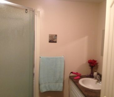 3 Galbraith Street - Photo 6