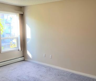 2 Bedroom Condo For Rent In Ellerslie/ Heat & Water Included! - Photo 5