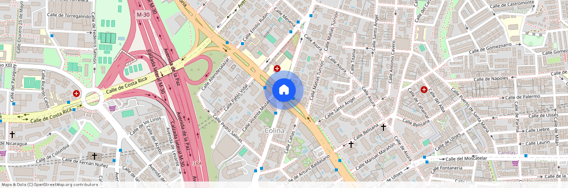 Calle de López de Hoyos, Madrid, Community of Madrid 28043