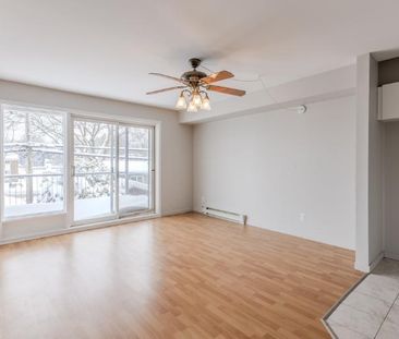 Appartement 5 ½ à louer Lévis octobre 2025 - Photo 1