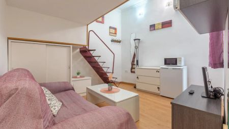 Estudio de alquiler en Calle Calle del Duque de Rivas, 2, Embajadores - Lavapiés - Foto 2