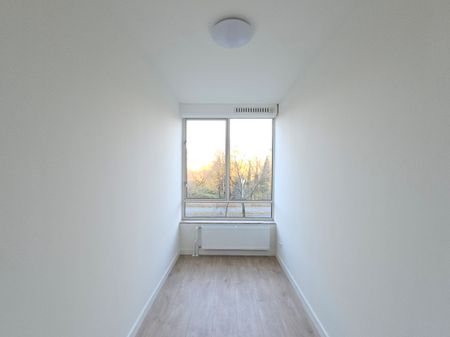 Segbroeklaan 538 - Photo 3