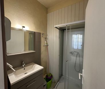 Location Appartement 1 pièce 25m² - Photo 3