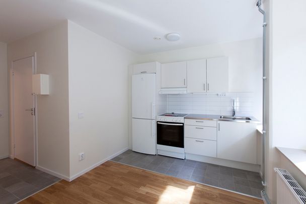 Sofielundsvägen 4, Möllevången - Photo 1