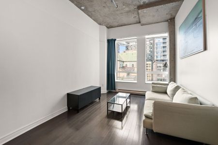 Appartement à louer, Montréal (Ville-Marie) - Photo 2