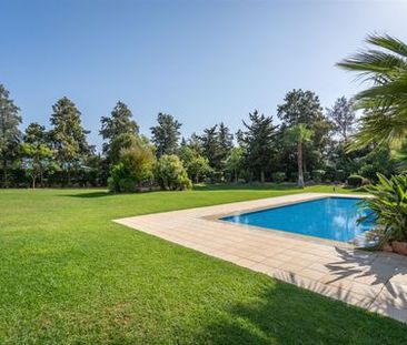 Apartamento T3+1 - Photo 4