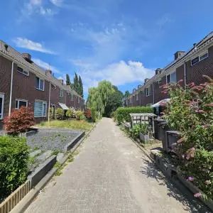 Maison familiale Platanenlaan, Grootebroek - À louer - Foto 4