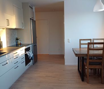 Gaffelseglet, Vega - Foto 4