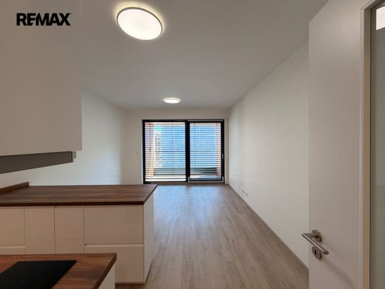Pronájem bytu 1+kk v osobním vlastnictví 31 m², Praha 3 - Žižkov - Photo 1