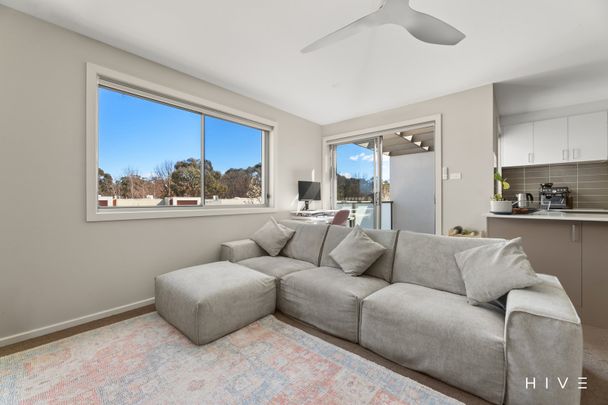 12/16 Berrigan Crescent, O'Connor ACT 2602 - Apartment For Rent | Domain - Photo 1