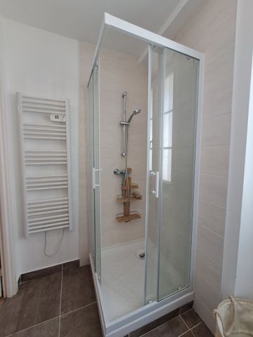 Location Appartement 1 pièce 20m² - Photo 3