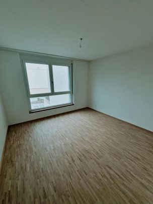 Newly built - large, bright rooms - Photo 1