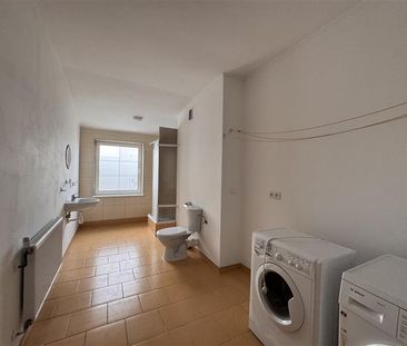 Mieszkanie Wynajem: Darłowo - Zdjęcie 6