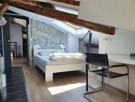 T1 meublé - 1 rue de Bressieux HYPERCENTRE - Photo 3