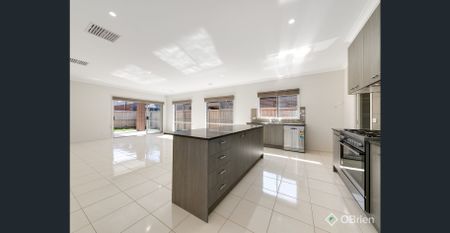 Picture Perfect! - Photo 2