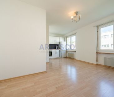 Perfekt für Singles! - Photo 2