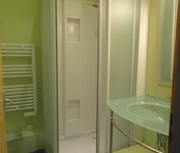 Location Appartement 3 pièces 48m² BELFORT 90000 - Photo 6