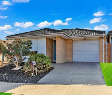 Step Into Style: - Photo 2