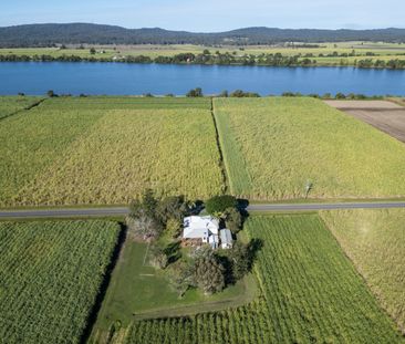 147 Kings Creek Road, Lawrence NSW 2460 - House For Rent | Domain - Photo 6