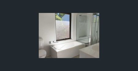 Beautifully Renovated - Water Usage Included! - Photo 5