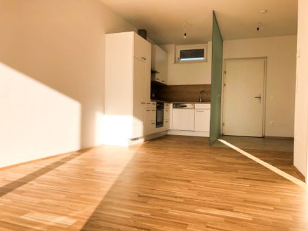 HAUSTIERE ERLAUBT – Schöne 2 Zimmer Mietwohnung (ca. 45 m²) mit großem Balkon in Graz-Puntigam - Photo 4