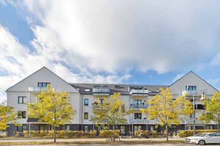 ERSTER MONAT MIETFREI: Erdgeschoss-Neubauwohnung in ruhiger Lage - Photo 5