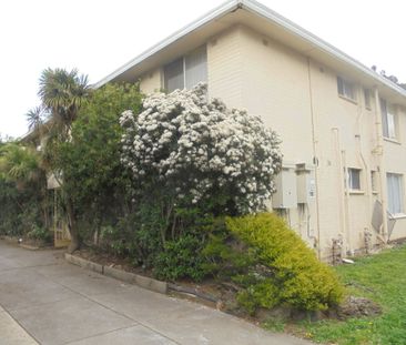 2 Bedroom Apartment - Close to Monash University - Photo 1