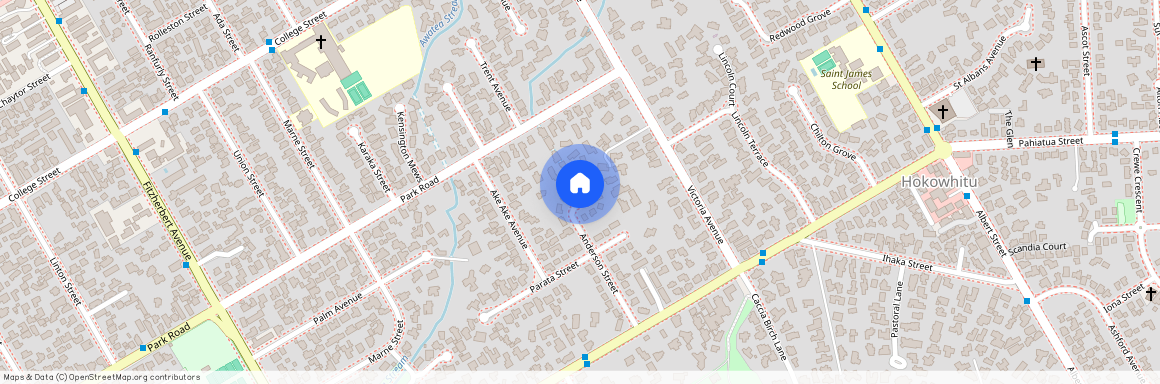 35 Anderson Street, Hokowhitu, Palmerston North City