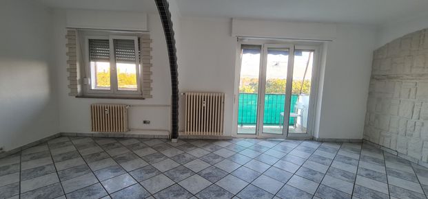 Location Appartement 3 pièces 70m² ST LOUIS 68300 - Photo 1