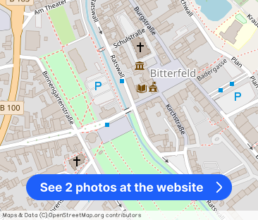 Geräumige renovierte 2-Raum Wohnung im EG - Photo 1