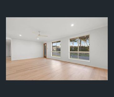 Perfect renovated property in Boronia Heights - Photo 4