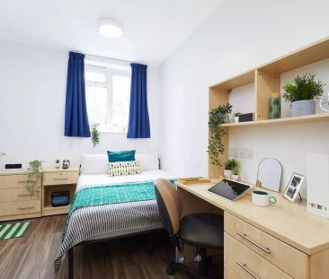 Standard Studio - Photo 4