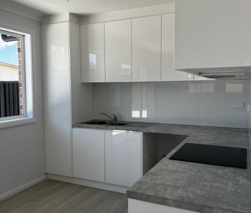 BRAND NEW GRANNY FLAT - Photo 6
