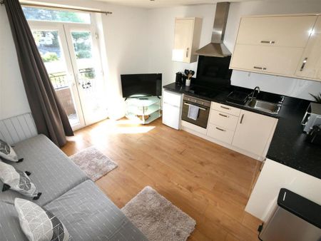 1 bedroom flat to rent - Photo 2