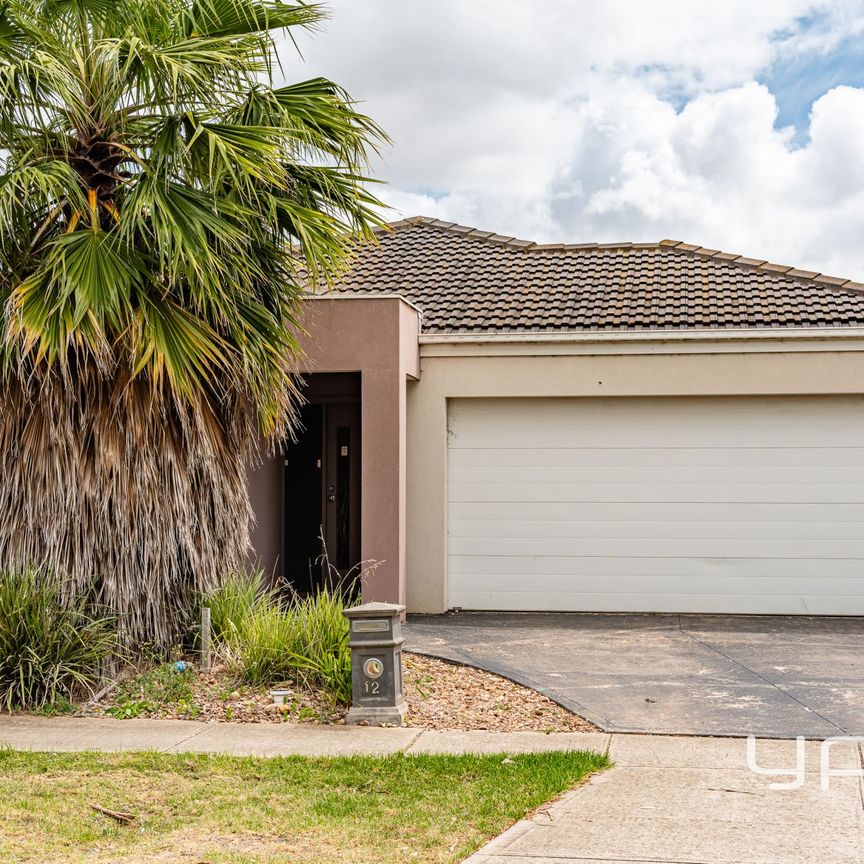 Spacious Family Home - Close To All Amenities - Photo 1