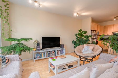 Rue St-Hubert, H2L 4A7, Montréal - Photo 4