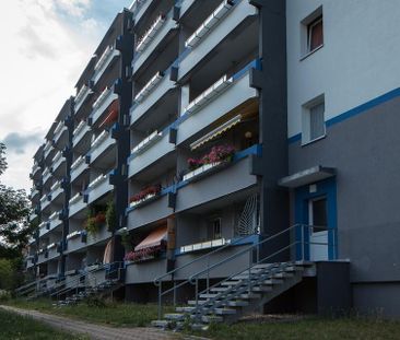 Platz für die ganze Familie - gemütliche 3 Zimmer ab Mitte Mai - Photo 2