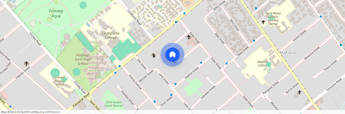 735 Ngaio Street, Mahora, Hastings