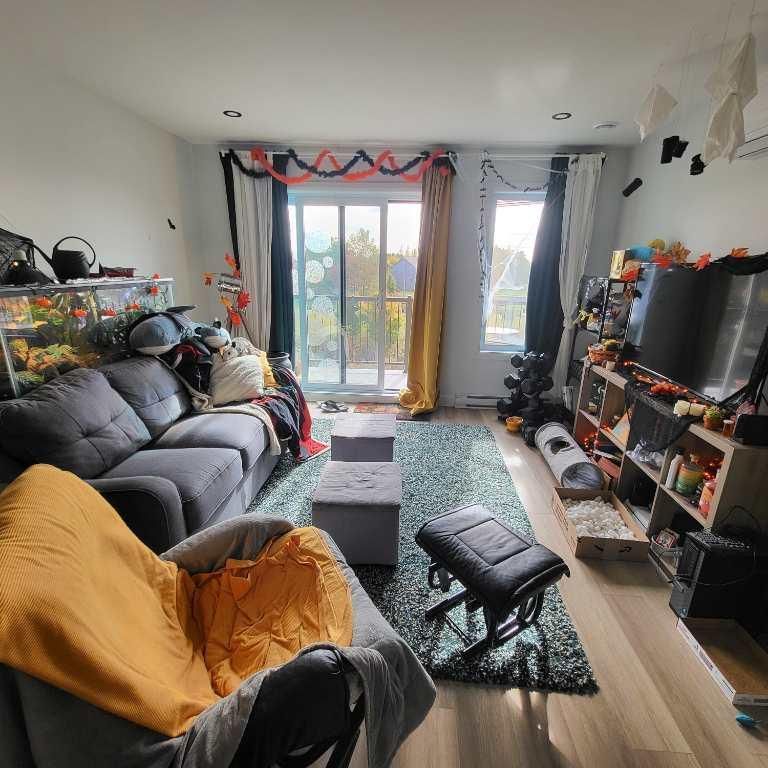 4 1/2 + Bureau - Pintendre (Lévis), cession de bail 1 février 2026 - Photo 1