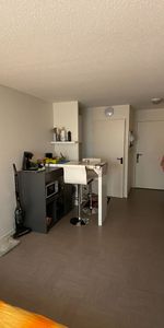 STUDIO VILLEURBANNE - 20 M2 , Villeurbanne - Photo 3