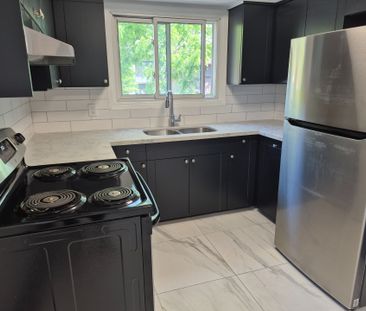 For Lease - 9 Branch Avenue Unit# Lower, Toronto, Ontario - Photo 4