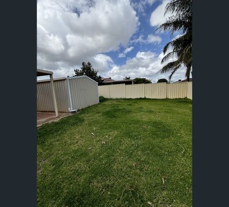 80 Strawberry Drive, Seville Grove, WA 6112 - Photo 1