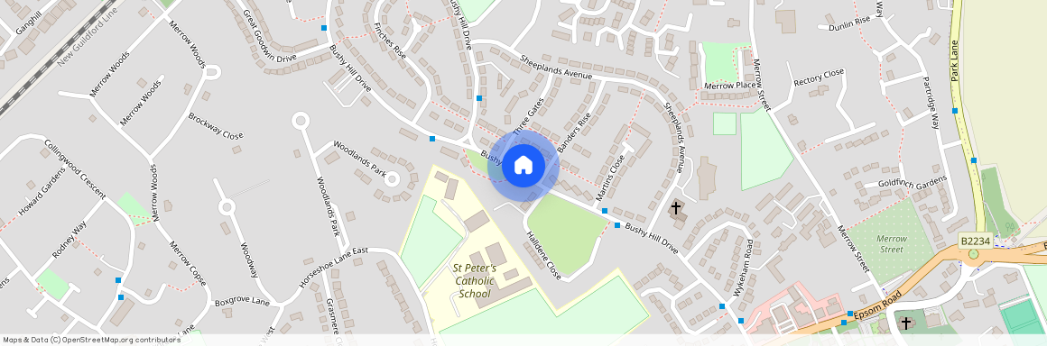 Bushy Hill Drive, Guildford GU1