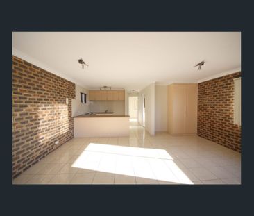 A HONEY FOR THE MONEY! - Photo 1