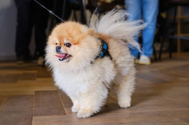 Coville Mansions, E20 1FZ, London - Photo 1