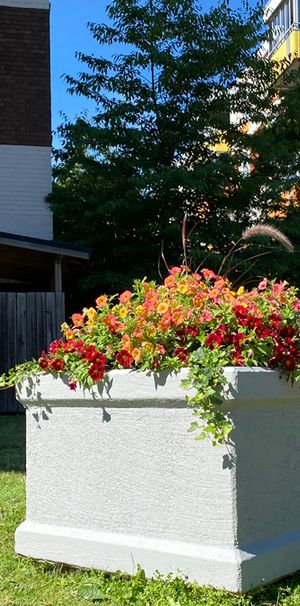 Hasselgatan 61 - Photo 1